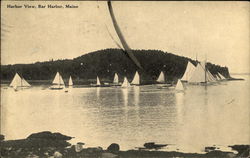 Harbor View of Sail Boats Postcard