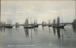 Boats in the Harbor Portland, ME Postcard Postcard Postcard