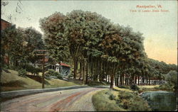 Tree Lined View of Lower State Street Postcard