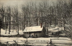 The Sugar Orchard Ready for the Run Vermont Postcard Postcard Postcard