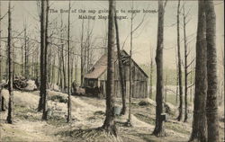 The First Sap Going Into Sugar House Vermont Postcard Postcard Postcard