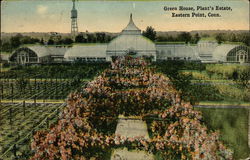 Green House, Plant's Estate Eastern Point, CT Postcard Postcard Postcard