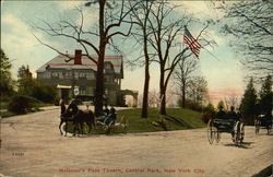 McGown's Pass Tavern, Central Park Postcard