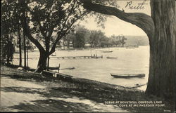 Scene at Beautiful Conesus Lake Lakeville, NY Postcard Postcard Postcard