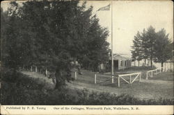 Cottage, Wentworth Park Postcard