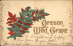 Oregon Wild Grape Postcard