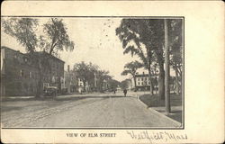 View of Elm Street Westfield, MA Postcard Postcard Postcard