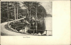 Lynn Woods Postcard