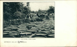 Lily Pond, Como Park Postcard