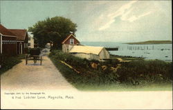 Lobster Lane Postcard