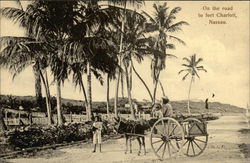 On the Road to Fort Charlott Nassau, Bahamas Caribbean Islands Postcard Postcard