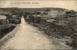 Country Road Bathsheba, Barbados Caribbean Islands Postcard Postcard