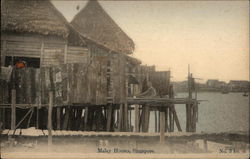 View of Malay Houses Postcard