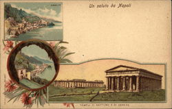 Temples of Neptune and Ceres Postcard