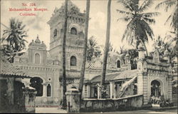 View of Mohamedian Mosque Postcard