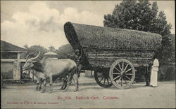 Bullock Cart Colombo, Sri Lanka Southeast Asia Postcard Postcard