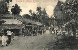 Street Scene at Colombo's Grand Pass Postcard