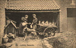 Laitiere, flamande. Burssels, Belgium Benelux Countries Postcard Postcard