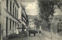 Rua da Conselheiro Funchal, Madeira Portugal Postcard Postcard Postcard