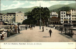 Madeira Postcard