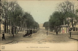 View Along Avenue de Sceaux Postcard