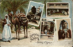 Souvenir from Algeria Africa Postcard Postcard