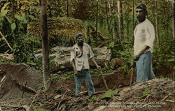 Natives Digging Ancient Indian Graves For Gold Ornaments And Pottery Panama Postcard Postcard