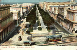 View Along the Prado Postcard