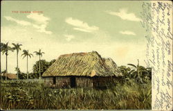 The Cuban Bohio Postcard Postcard