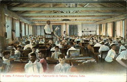 Workers at a Habana Cigar Factory Postcard