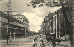 Polk Street, Looking Toward the Landing Jetty Postcard