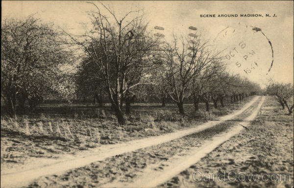 Dirt Road passing through Orchard Madison, NJ Postcard