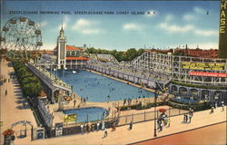 Steeplechase Swimming Pool, Steeplechase Park Coney Island, NY Postcard Postcard Postcard