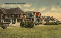 Tuckermuck Avenue Oak Bluffs, MA Postcard Postcard Postcard