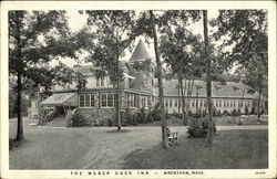 The Weber Duck Inn Postcard