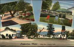 Peppertree Motel, Valley Blvd. Postcard