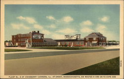 Cranberry Canners Inc. - Plant No.4 Postcard