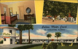 Palms Motor Court Postcard