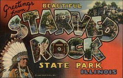 Greetings from Starved Rock State Park Postcard