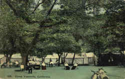 Camp Yosemite Postcard