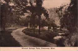 Mineral Springs Park Owatonna, MN Postcard Postcard