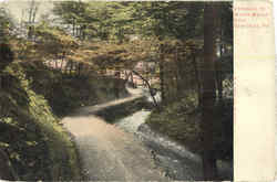 Entrance To Water Works Park Postcard