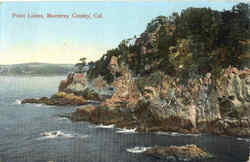 Point Lobos Postcard