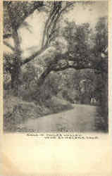 Road In Chiles Valley Postcard