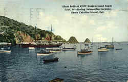 Glass Bottom Row Boats Around Sugar Loaf Postcard