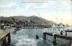 Bathing At Avalon Postcard