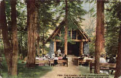 The Chapel Of The Transfiguration In The Woods Near Tahoe Tavern Lake Tahoe, CA Postcard Postcard