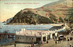 Scene at Avalon, Showing Aquarium California Postcard Postcard Postcard