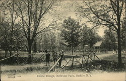 Rustic Bridge at Bellevue Park Buffalo, NY Postcard Postcard Postcard