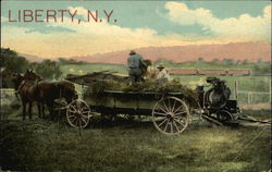 Haying in a Field Liberty, NY Postcard Postcard Postcard